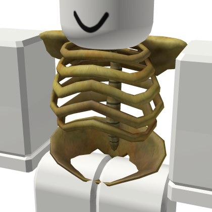 Skeleton Torso - Roblox