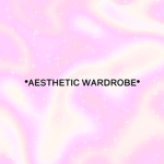 •ᴀᴇꜱᴛʜᴇᴛɪᴄ ᴡᴀʀᴅʀᴏʙᴇ•