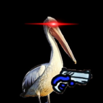 Daily dose of Pelican