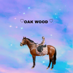 Oak wood!