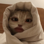 그냥오세요제발