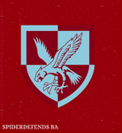 「BA」• 16th Air Assualt Brigade
