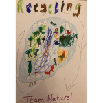 Team Nature 2