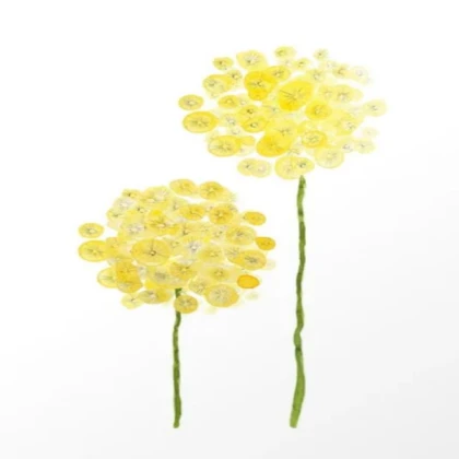 Abstract dandelions