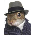 Squirrel Mafia