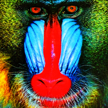 THE MANDRILL MAZE [HARD EDITION]