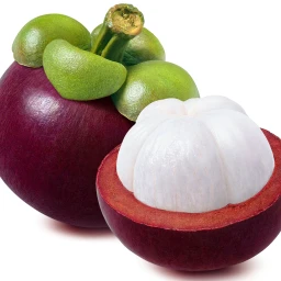 Mangosteen icon