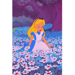 Alice Wonderland