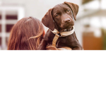 The Puppy Friends!!!