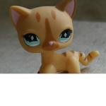 LPS FANS ONLY