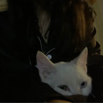 gabbyW