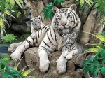 Tiger Hangout!!!