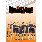 Volleyball meeting