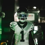 NFL fan group club
