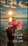 Follow for follow every day, have fun