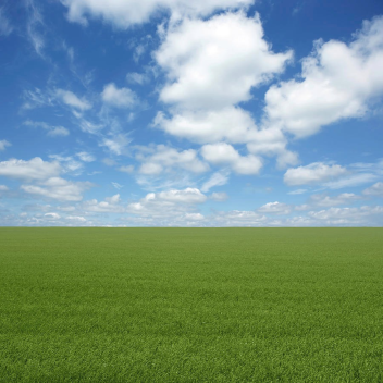 walk around in a field simulator [ded]