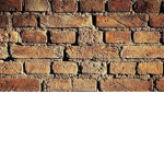 BRICKYS REALLY COOL CLAN
