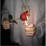 Slxii Fan Group
