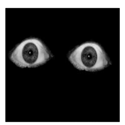 aesthetic creepy eyes Roblox decal