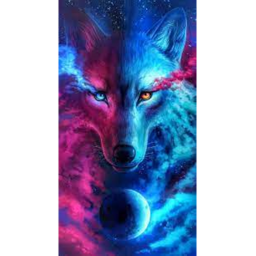The wolfs hang out