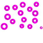 DEM DONUTS