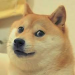 Team Doge For Ever!