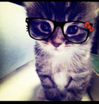 Valur.zz