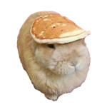 pancake rabbit