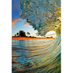 •Ocean life•