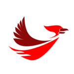 Fly Bird Airlines