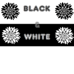 Black & White Flowers Fashion