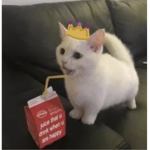 'royalty
