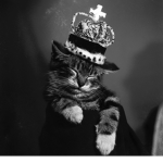 The royal cat's