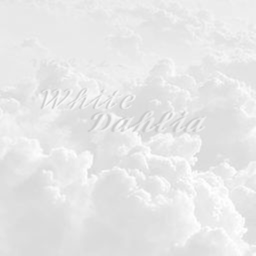 White Dahliá Hangout