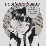 Aesthetic Builds