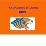The University Of The Georgia Tigers