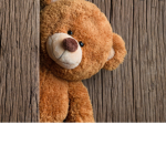 The teddy peep squad