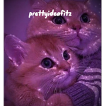 Prettyideafitz