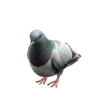 Roblox entity thumbnail