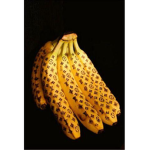Supreme Banana Republic