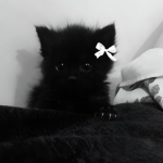 'bebecita