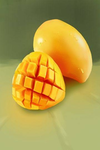 My Mango tree
