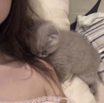 ‘bunniii