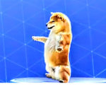 The_Doggos