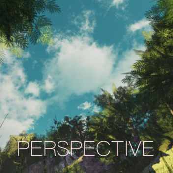 Perspective