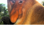 Nose que poner aqui