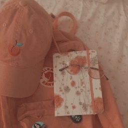 ✧