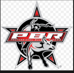Professional bull riding