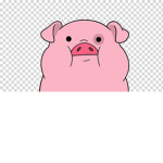 ŻABY