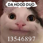 da hood duo